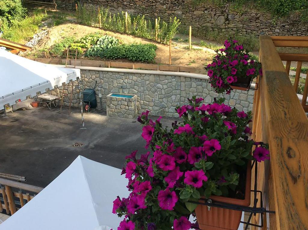 B&B La Marmotta Malè Esterno foto